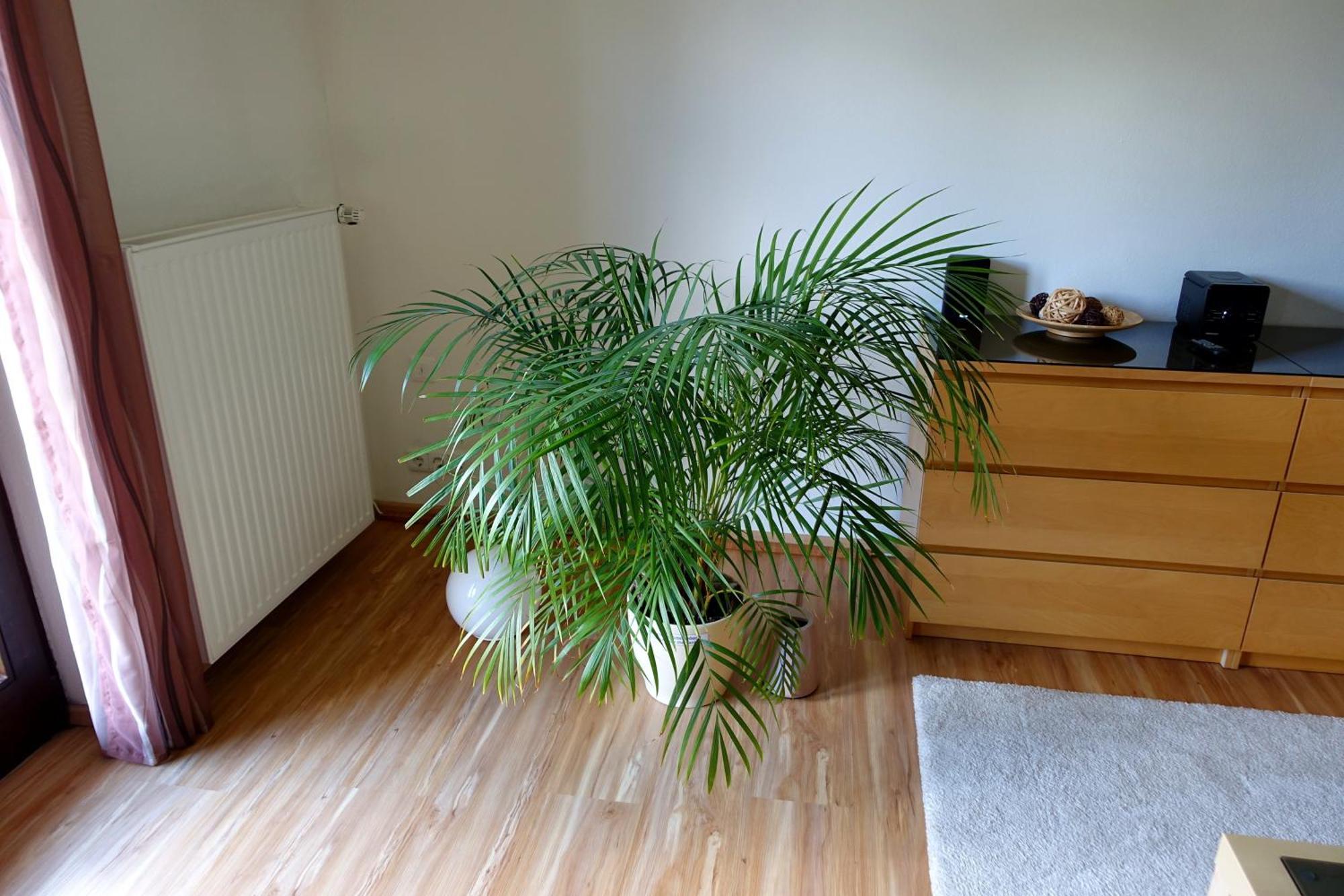 Ferienwohnung Ariane Garmisch-Partenkirchen Bagian luar foto